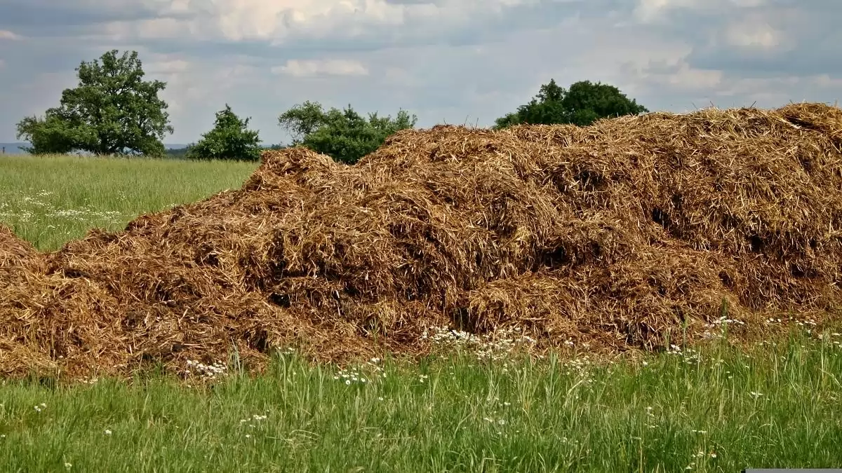A hulladéktól az erőforrásig