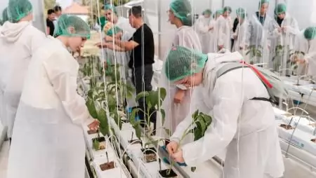 Űrpaprika szabadulószoba, barátkozás a poszméhekkel és high-tech növényház: különleges nyílt napot tartott a DélKerTÉSZ