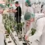 Űrpaprika szabadulószoba, barátkozás a poszméhekkel és high-tech növényház: különleges nyílt napot tartott a DélKerTÉSZ