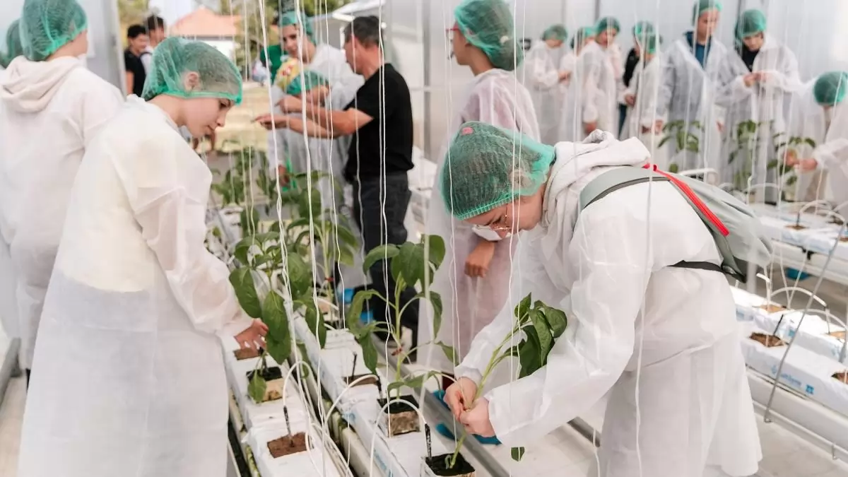 Űrpaprika szabadulószoba, barátkozás a poszméhekkel és high-tech növényház: különleges nyílt napot tartott a DélKerTÉSZ