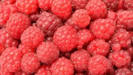 Egy év alatt 57 százalékkal emelkedett a málna termelői ára