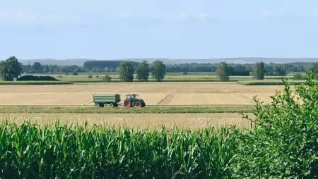 Politikamentes és takarékos működést sürget a NAK átvilágításáért felelős kamarai biztos