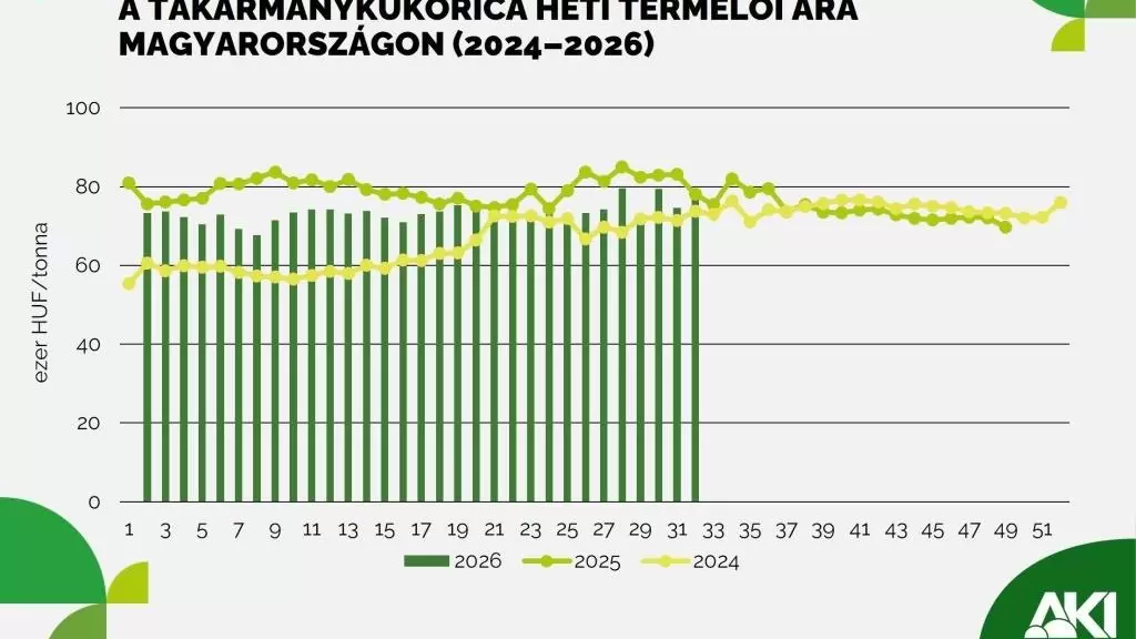 Az EU-ban 14 százalékkal kevesebb kukoricát takaríthatnak be az idén
