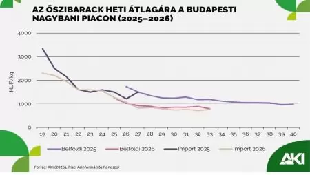 Az őszibarack és a nektarin termelői ára több mint 30 százalékkal csökkent
