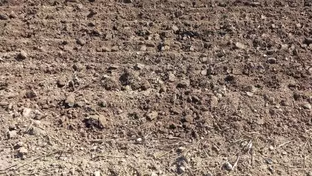 FAO a COP17 konferencián: Új jelentés figyelmeztet a talajromlás súlyosbodására