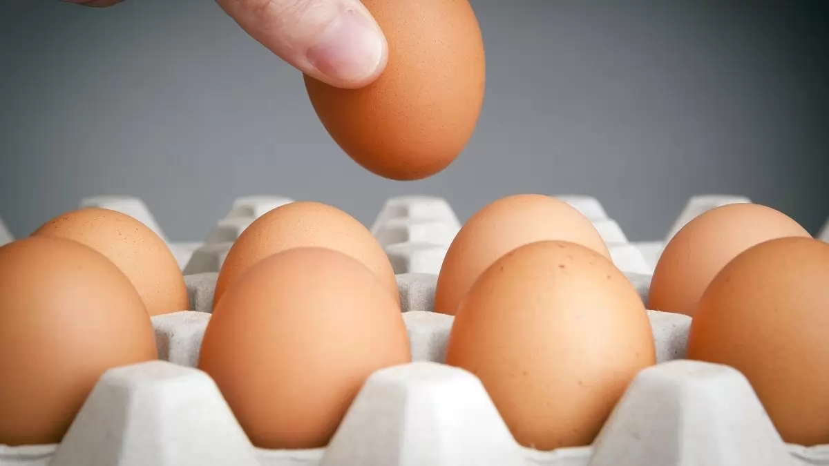 Visszaesett a héjas tojás importja, erősödött az export az első fél évben
