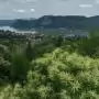 Ötödik megvalósítási periódusához érkezett a szelídgesztenyések védelmét szolgáló #castanea projekt