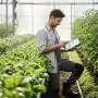 A Bizottság elindítja az agrár- élelmiszeripari innovációs stratégiáját