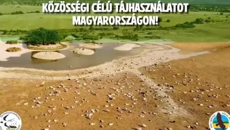 Országos petíció indult a magyar táj megmentéséért: Közösségi célú tájhasználatot és valódi megoldásokat kérnek a szakmai szervezetek