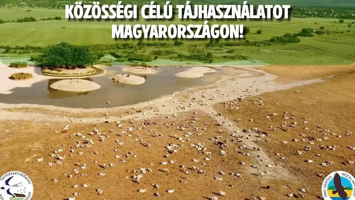 Országos petíció indult a magyar táj megmentéséért: Közösségi célú tájhasználatot és valódi megoldásokat kérnek a szakmai szervezetek