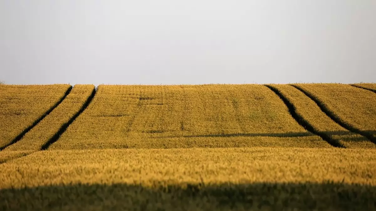 Általános aszály vis maior mentességet vezet be a kormány minden terület- és állatalapú agrártámogatásra