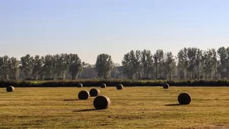 Erre oda kell figyelni: brutális, ami a magyar földdel történik, egyetlen év alatt összeomlott az ára – a gazdák elkezdték eladni az agráróriásoknak