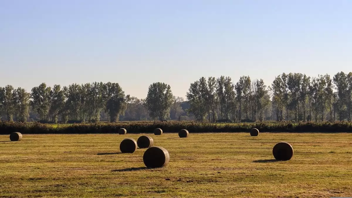 Erre oda kell figyelni: brutális, ami a magyar földdel történik, egyetlen év alatt összeomlott az ára – a gazdák elkezdték eladni az agráróriásoknak
