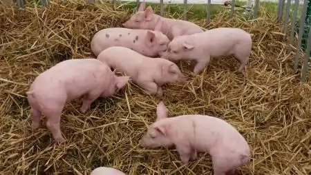 Változások következnek az antibiotikumok felírásában és az adatszolgáltatásban
