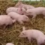 Változások következnek az antibiotikumok felírásában és az adatszolgáltatásban
