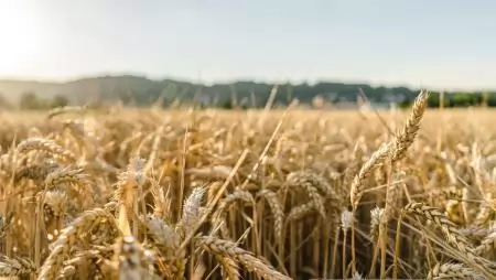 Több mint 26 milliárd forint előleg érkezik a gazdálkodókhoz az Agro-ökológiai Programban
