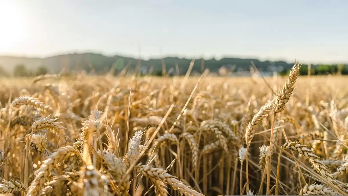 Több mint 26 milliárd forint előleg érkezik a gazdálkodókhoz az Agro-ökológiai Programban