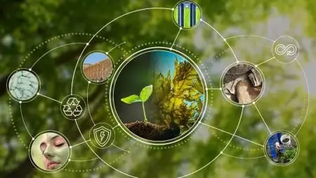 Megalakult a Bioalapú Európai Szövetség