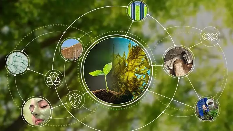 Megalakult a Bioalapú Európai Szövetség