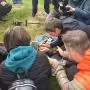 Egyedülálló védekezési rendszer épült ki az ázsiai lódarázs ellen a MATE-n