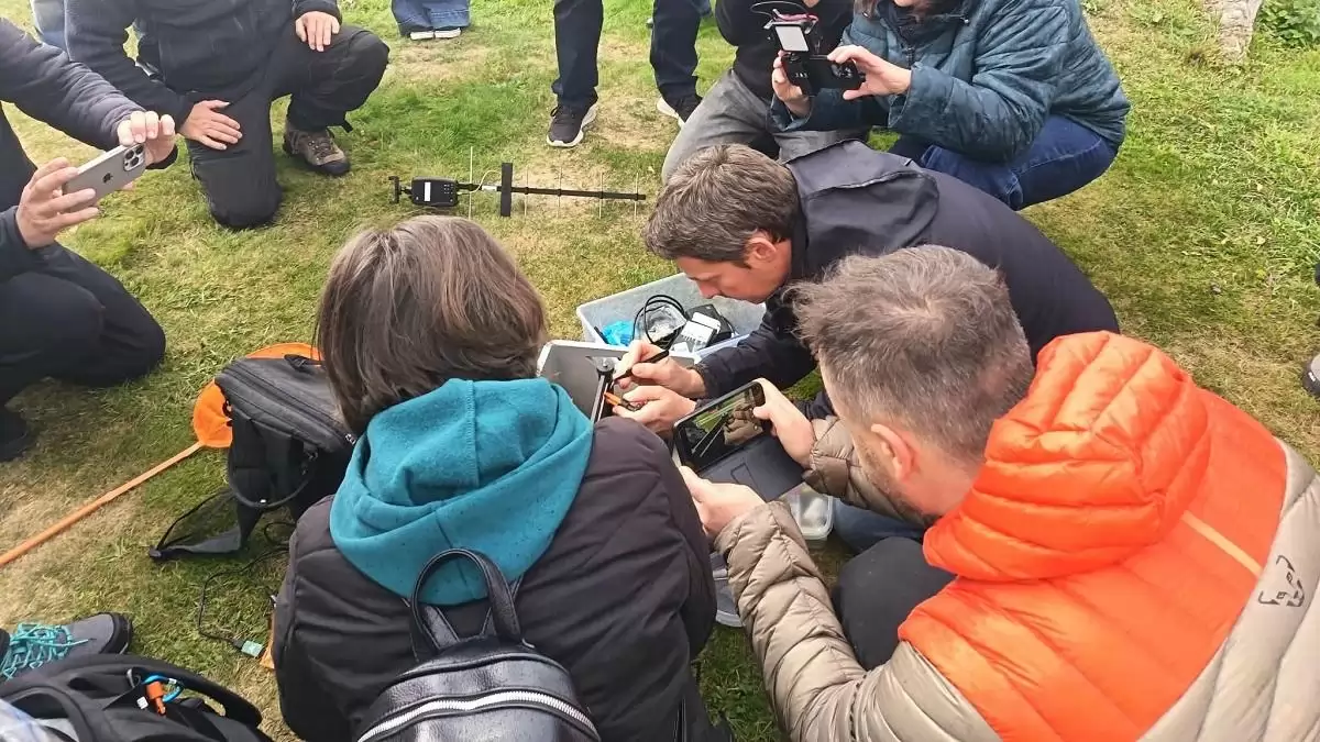 Egyedülálló védekezési rendszer épült ki az ázsiai lódarázs ellen a MATE-n