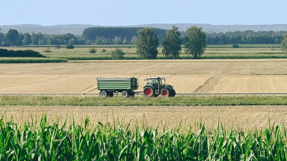 Vitézy Dávid: az év végéig literenként 25 forinttal csökkentik a 7,5 tonna feletti dízeles járművek jövedéki adóját