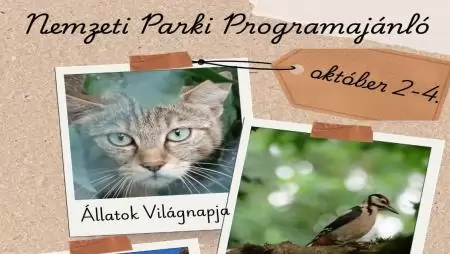 Nemzeti parki programajánló október 2-4.