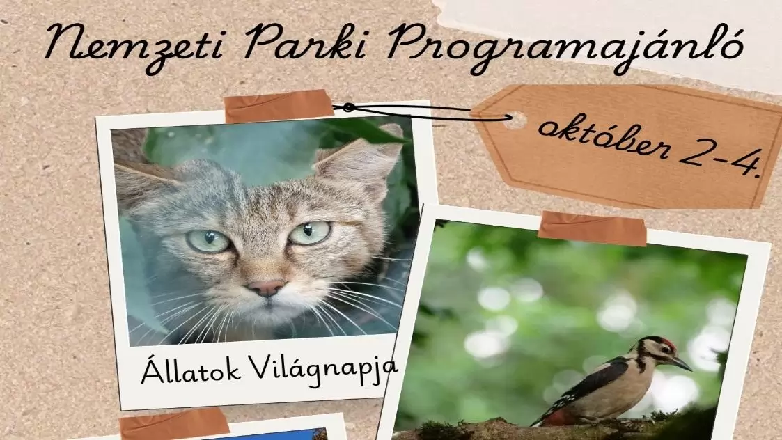 Nemzeti parki programajánló október 2-4.