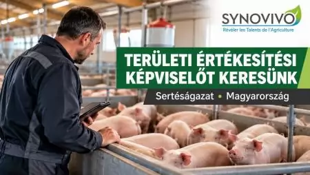 TERÜLETI ÉRTÉKESÍTÉSI KÉPVISELŐ - MAGYARORSZÁG 