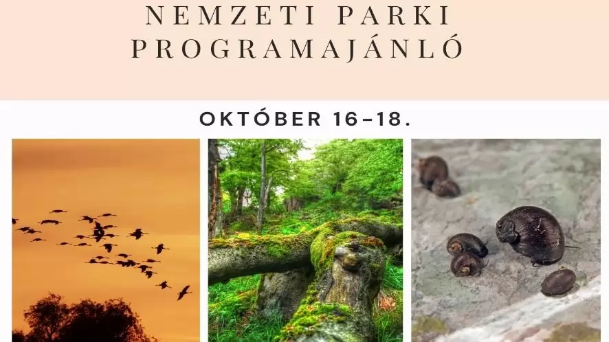 Nemzeti parki programajánló október 16-18.