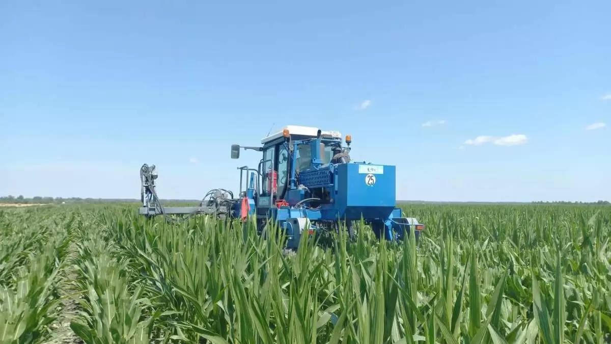 A Corteva gépi címerezéssel járul hozzá a Pioneer® vetőmagok kiváló minőségéhez