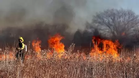Már az egész országra kiterjed a tűzgyújtási tilalom