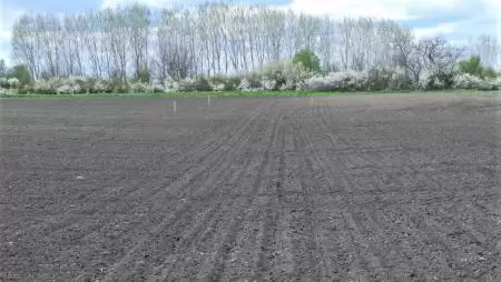  A tavaszi növénykultúrák vetésének eltérő menetrendje-NapiKép 2023.04.08.