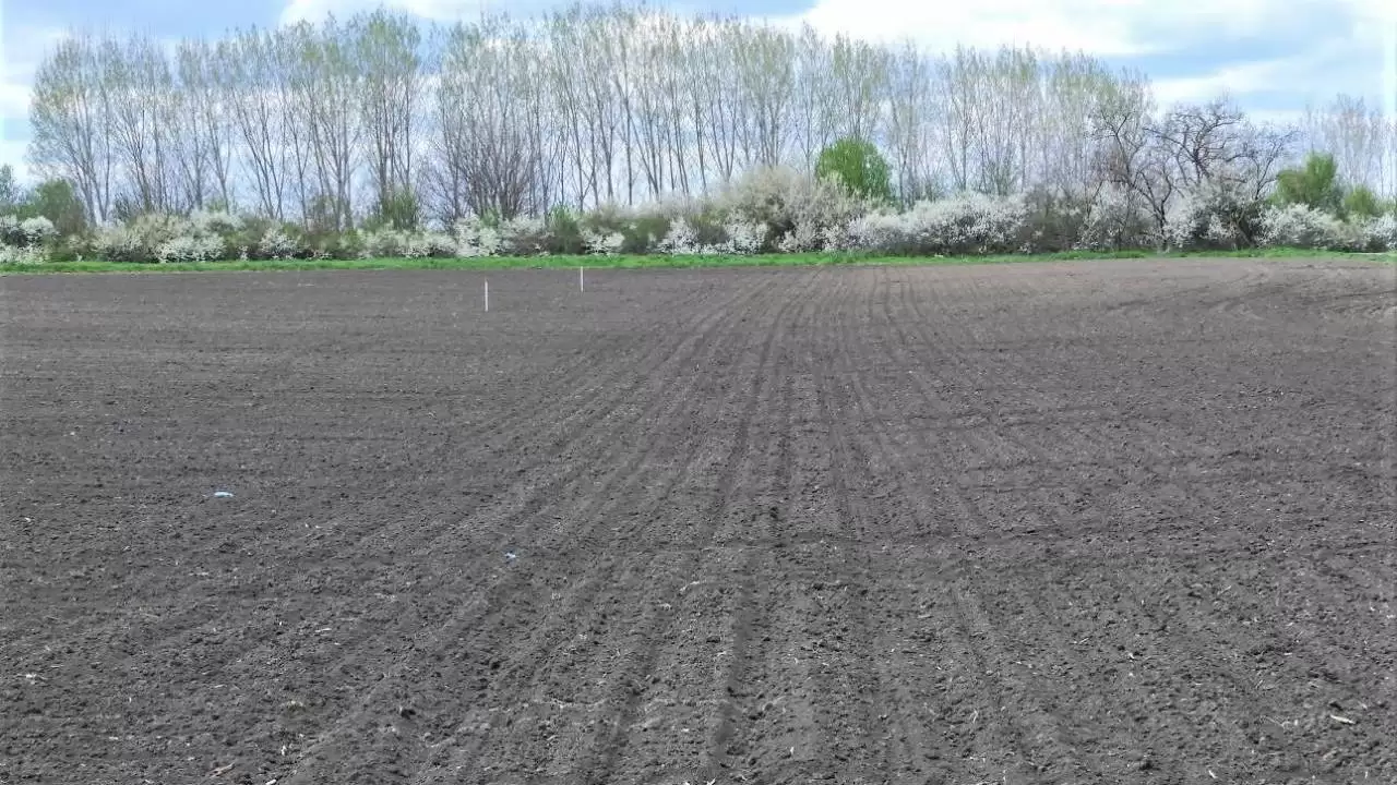  A tavaszi növénykultúrák vetésének eltérő menetrendje-NapiKép 2023.04.08.