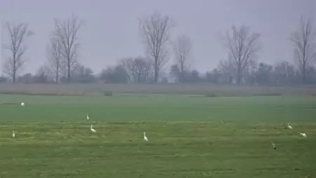 NapiKép 2023.01.15.