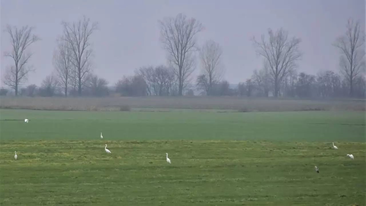 NapiKép 2023.01.15.