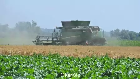  Őszi árpa aratás-NapiKép 2023.06.16.