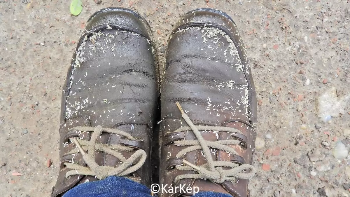 Nem az a baj, ha átázik a cipő és elázik a zokni!-NapiKép 2023.05.27.