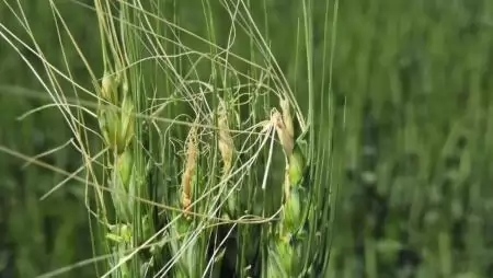 NapiKép 2023.03.19.