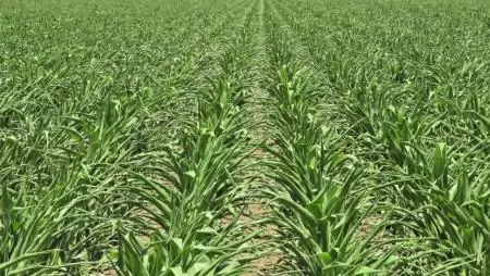 NapiKép 2023.03.20.