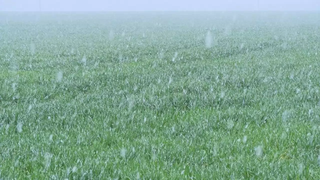 Mindegy, hogy milyen formában, csak érkezzen a csapadék!-NapiKép 2023.03.29. 