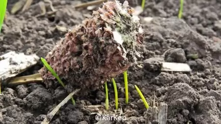 Egységben az erő - NapiKép 2023.11.04.