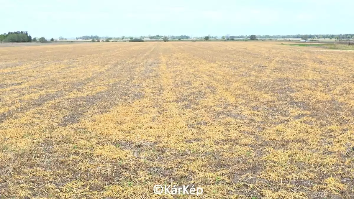 Glifozát - NapiKép 2023.10.08.