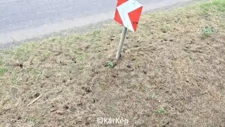 Állami pocoknevelő - NapiKép 2023.10.11.