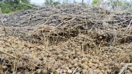 Güzühalom - NapiKép 2023.09.15.