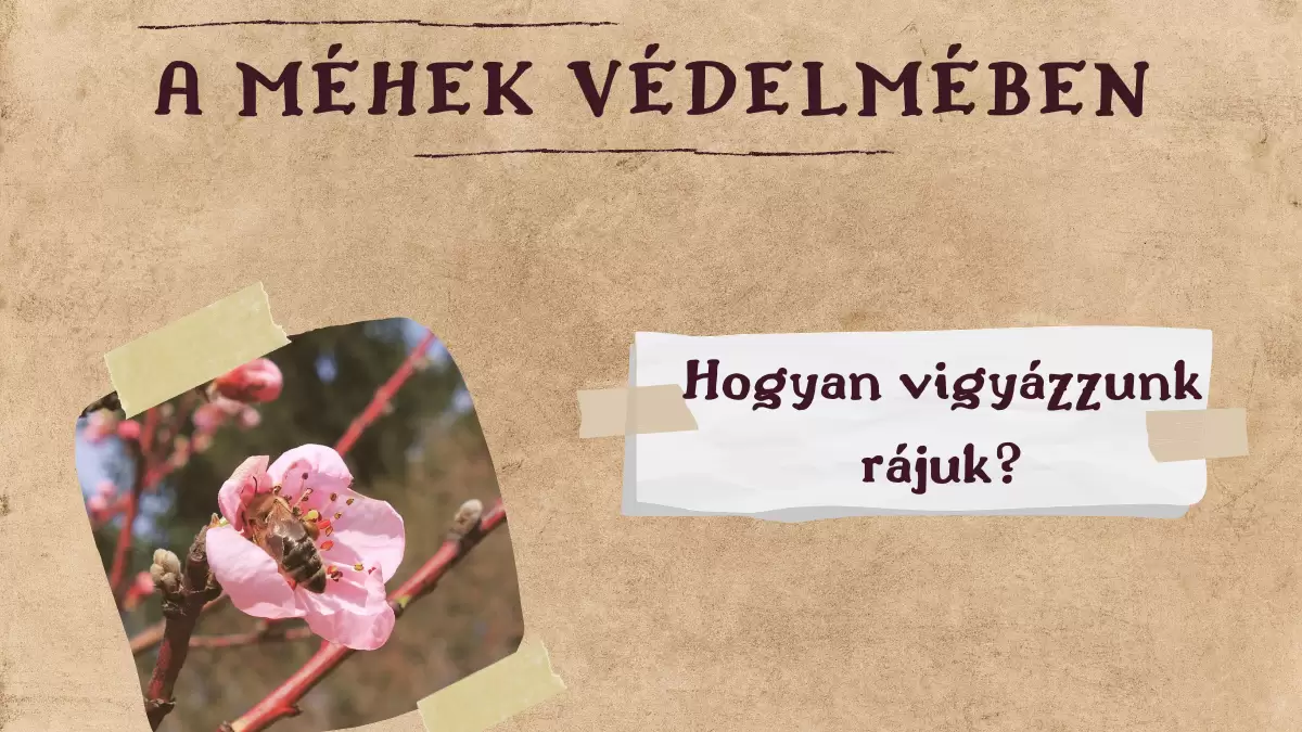 A méhek védelmében 