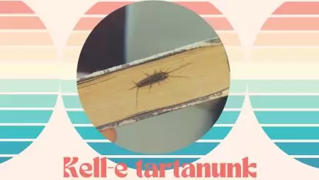 Kell-e tartanunk az ezüstös pikkelykétől?