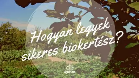 Hogyan legyek sikeres biokertész?