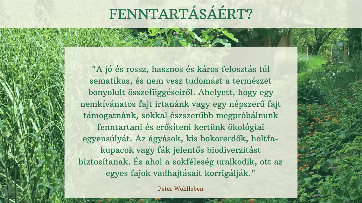 Tegyünk a biodiverzitásért a kertünkben! 