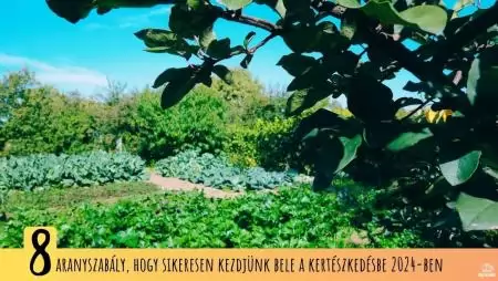 8 aranyszabály, hogy sikeresen kezdjünk bele a kertészkedésbe 2024-ben
